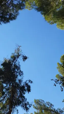 nature walk