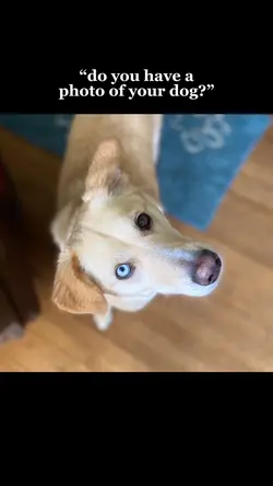 Nala