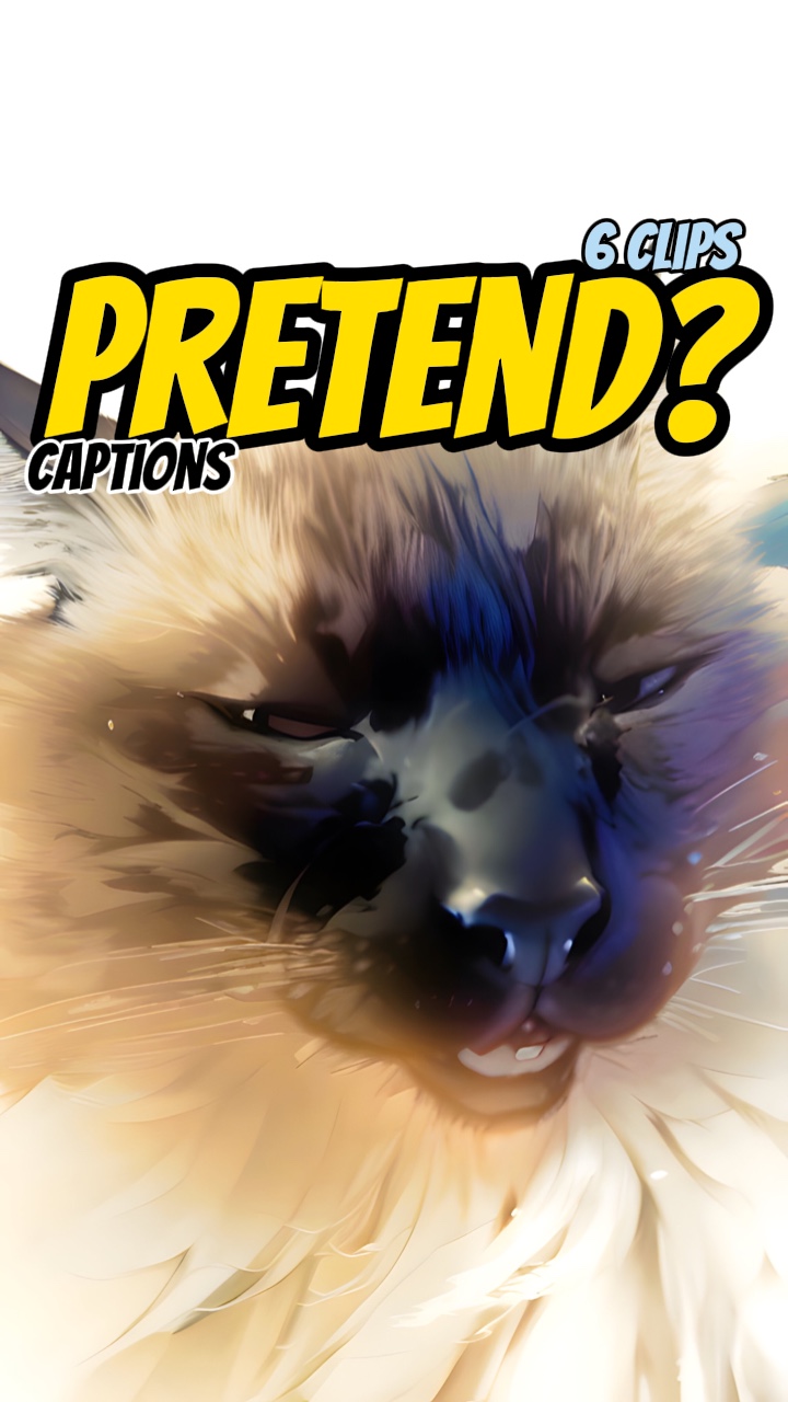 No pretend song