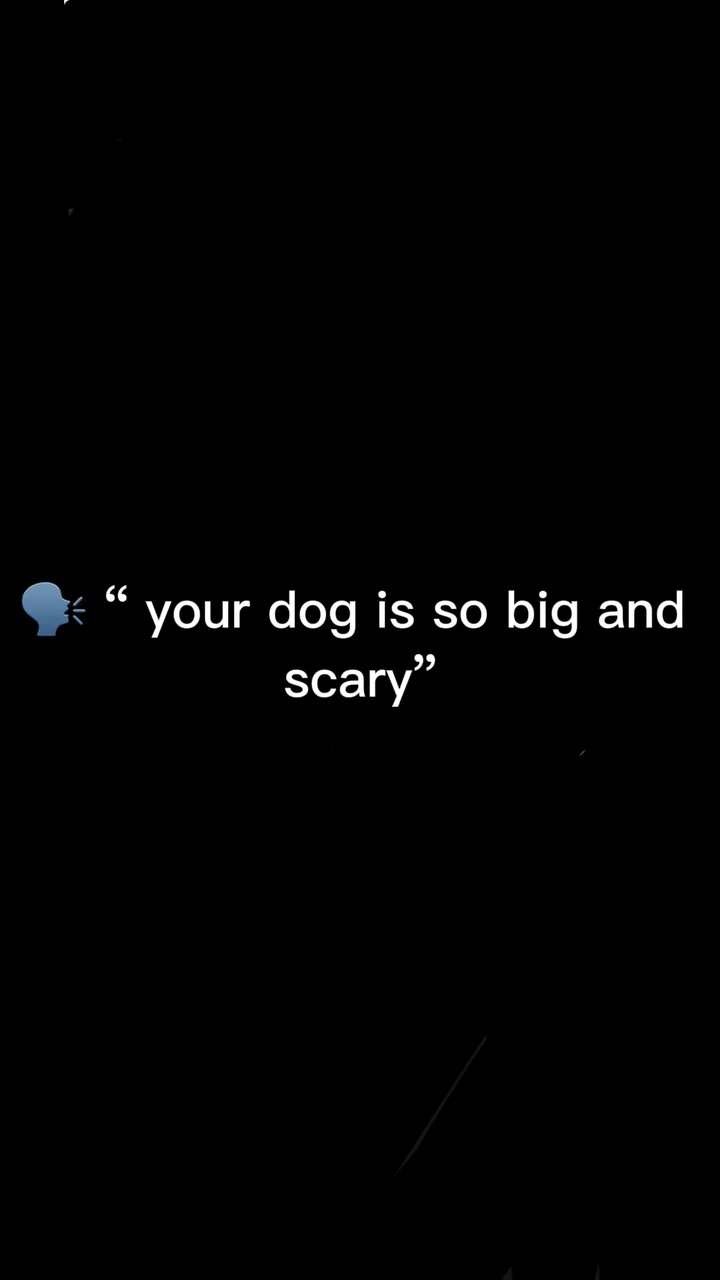 Hund enthüllen