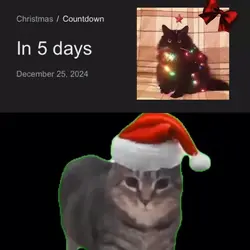 MEOWY CHRISTMAS ๐โค๏ธโ๏ธ