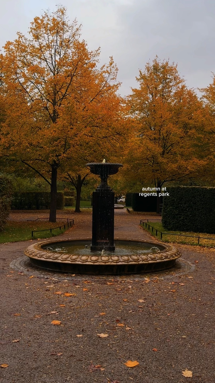 Herbstvorlage