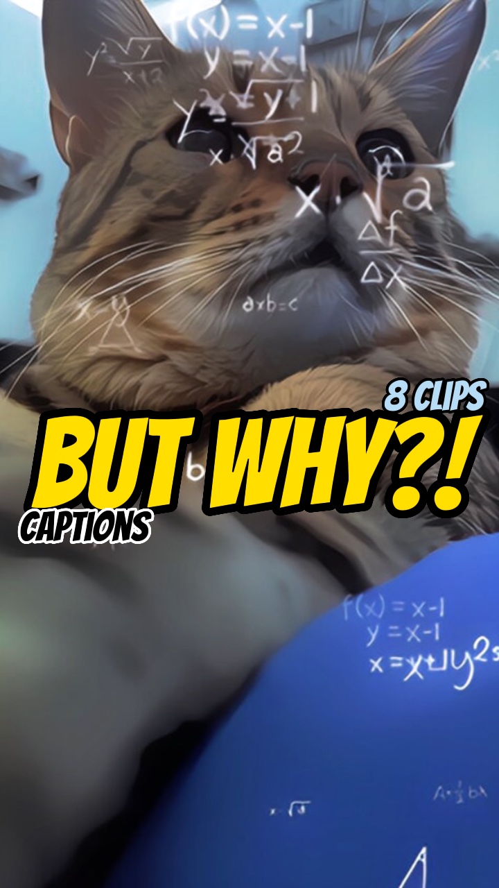 그런데 왜? 