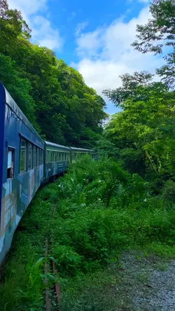 Serra do Mar (Trem)