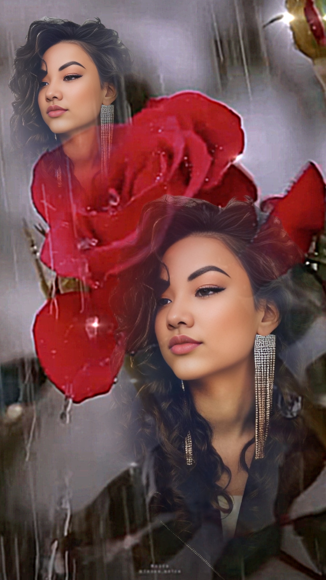 Rainy Rose Pics