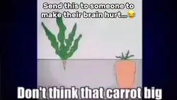 Carrot Big