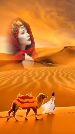 desert camel