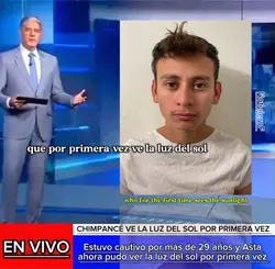 Estuvo cautivo 