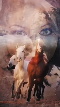 Lindos caballos
