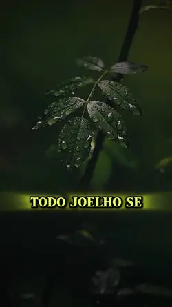 música de reflexão 