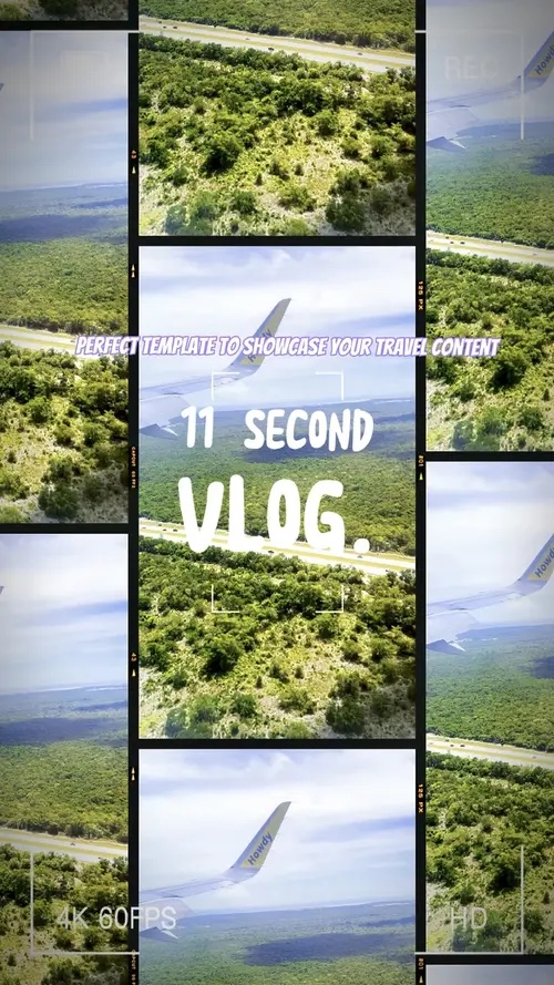 Paradise Vlog