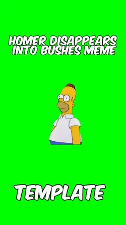 Homer disappears 