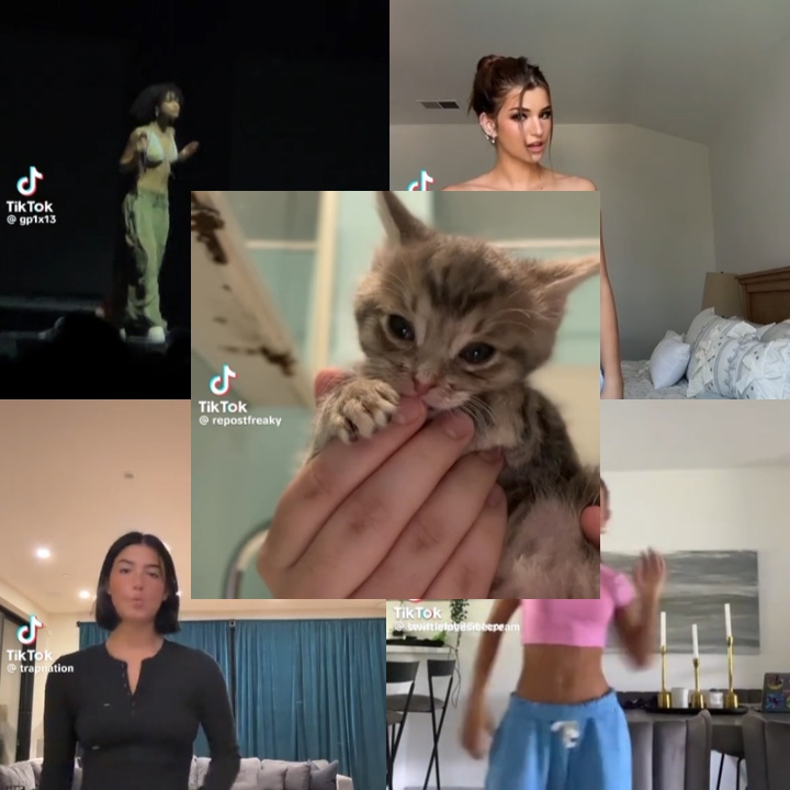 Kitty tyla dança 
