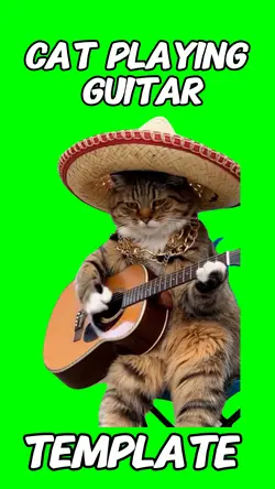 Cat playing guitar