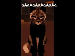 Warrior cats