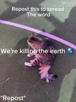 World problems