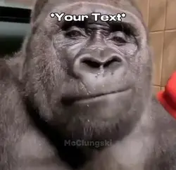 Monkey Meme