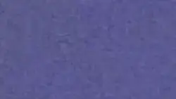 202519
01