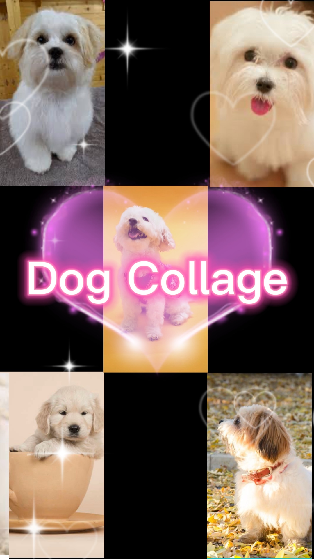 Dog Collage 