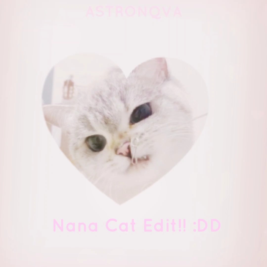 Nana Cat Edit!