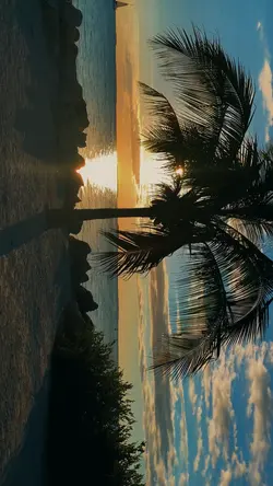 Rotate your phone