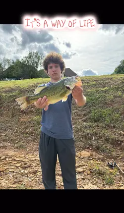 Insane fishing editπ₯