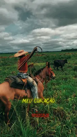 Meu coração
