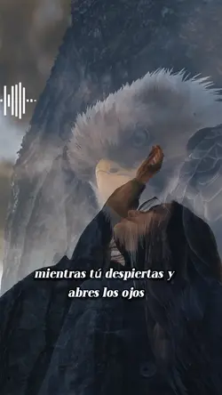 Frases y Reflexiones