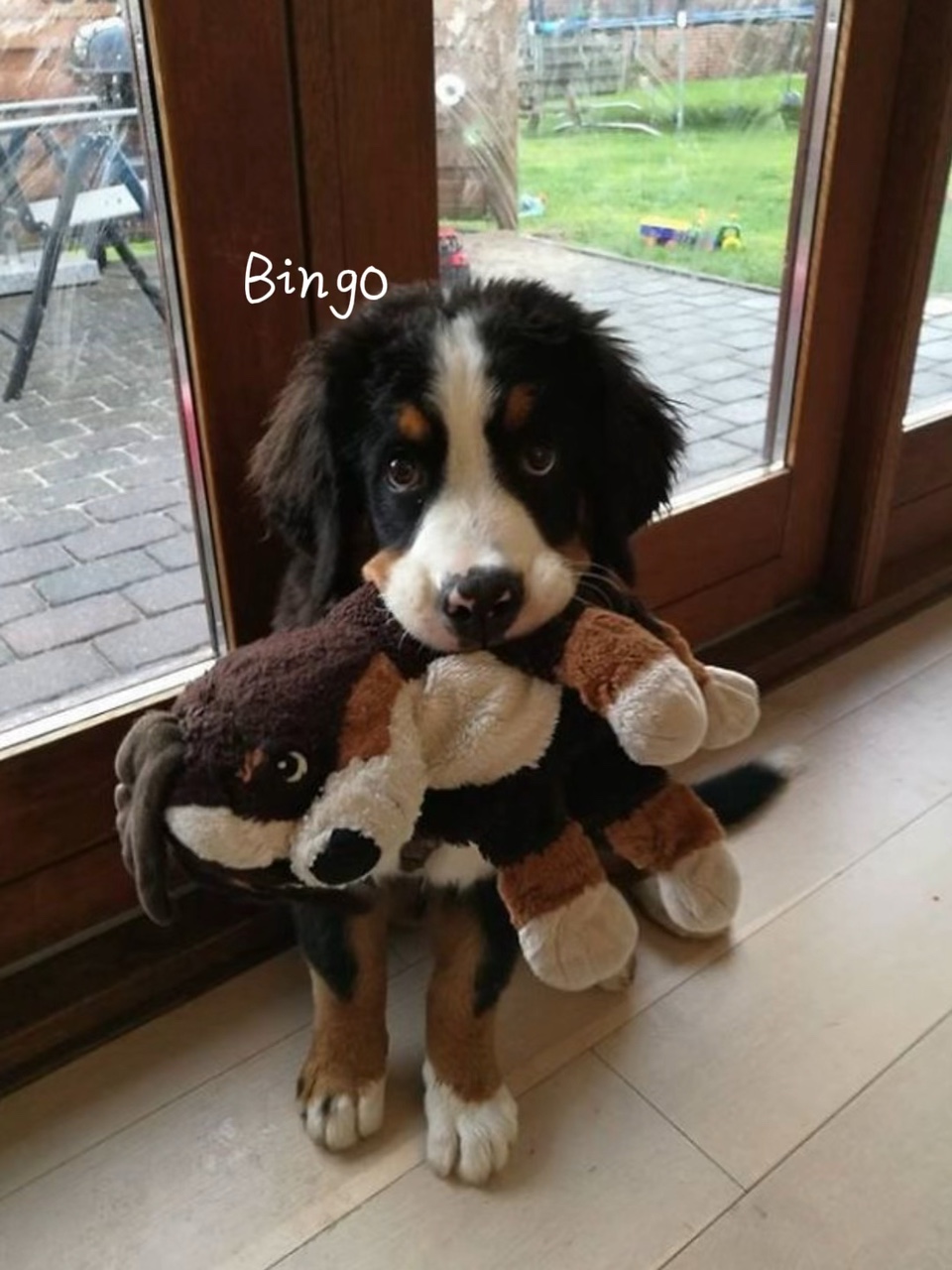 Bing bingo baby<3