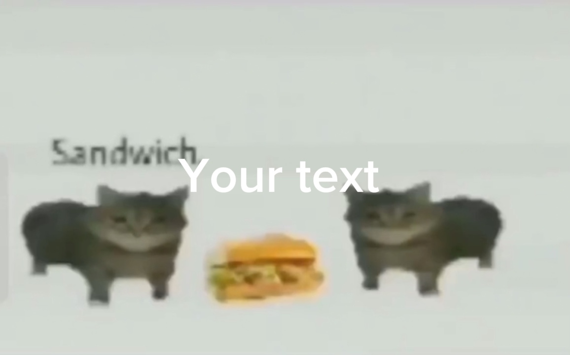 샌드위치 