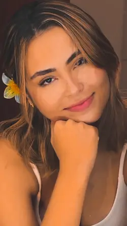 modelo novo