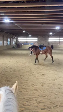 Falling off horse