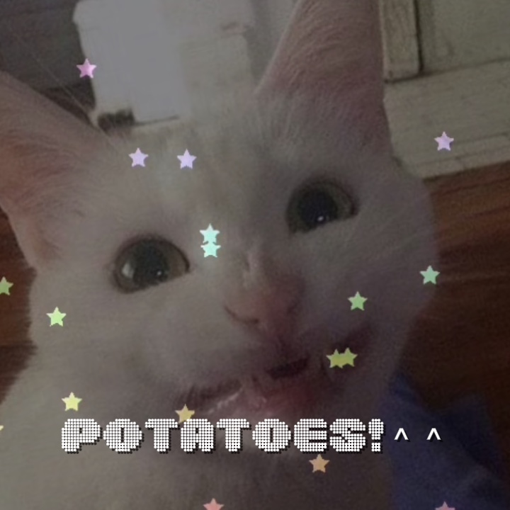 Kittys :3