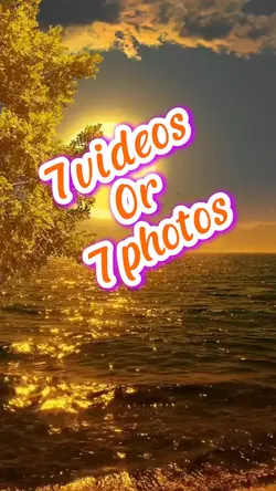 7videos/7photos