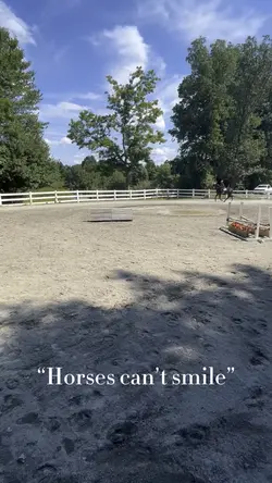 Horses can smile