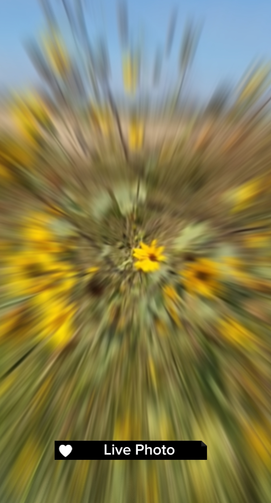 Canlı Fotoğraf klipleri