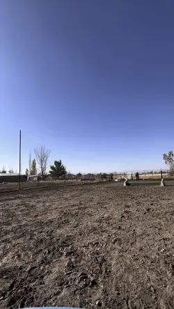 jumping?!?