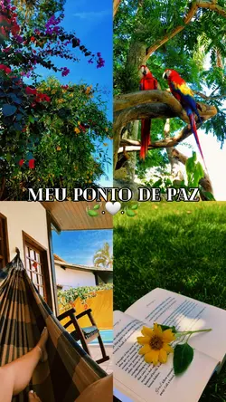 MINHA PAZ