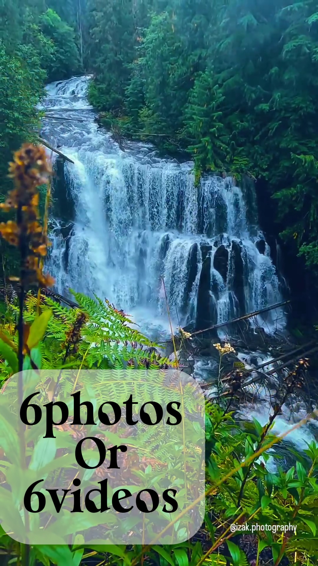 6photos/6videos