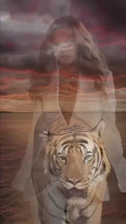 Tigre
