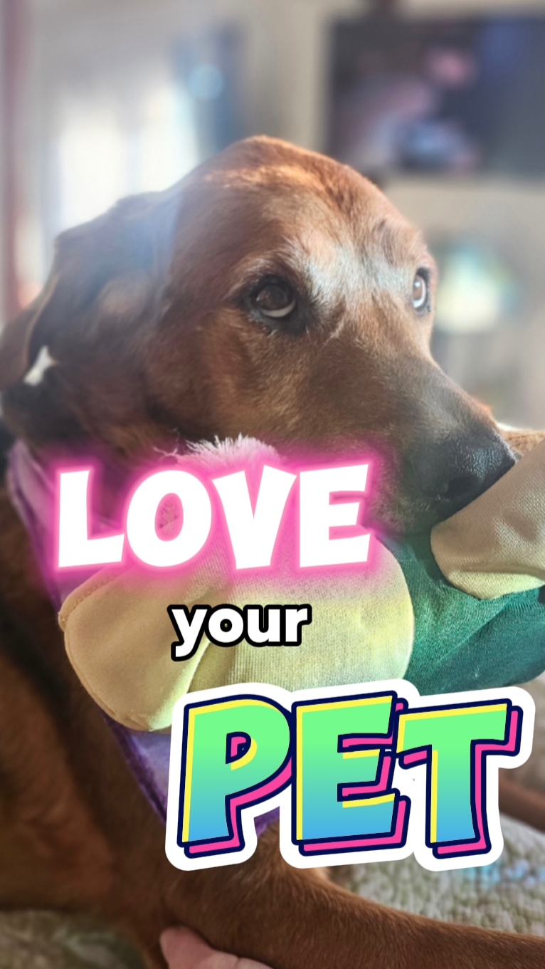 Love your fur babies