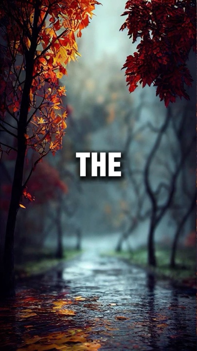 The Soul