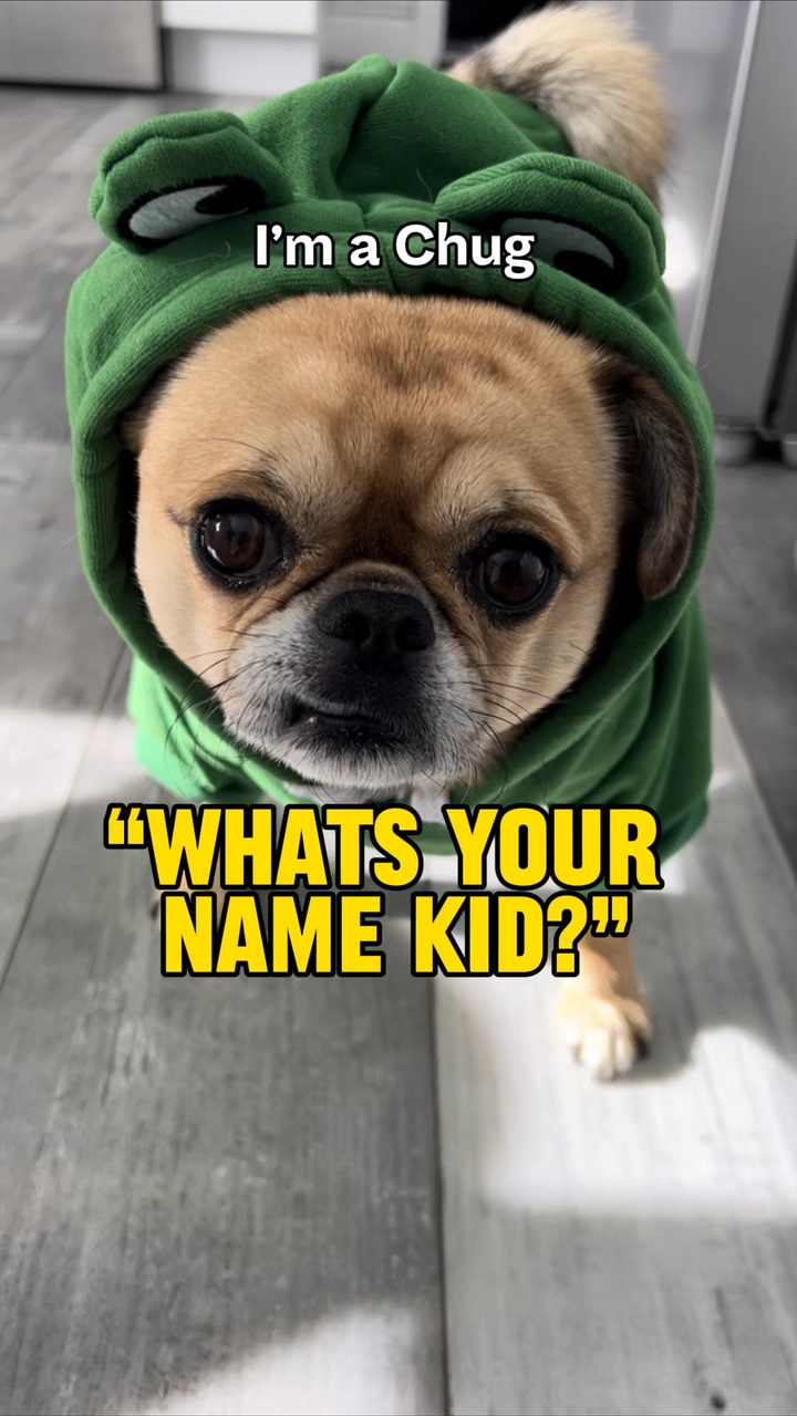 Whats you name kid?