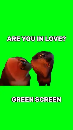Are you in love?