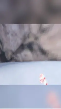 Guess that YouTuber
