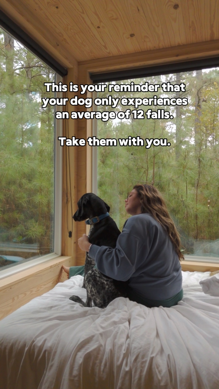 Take your dog