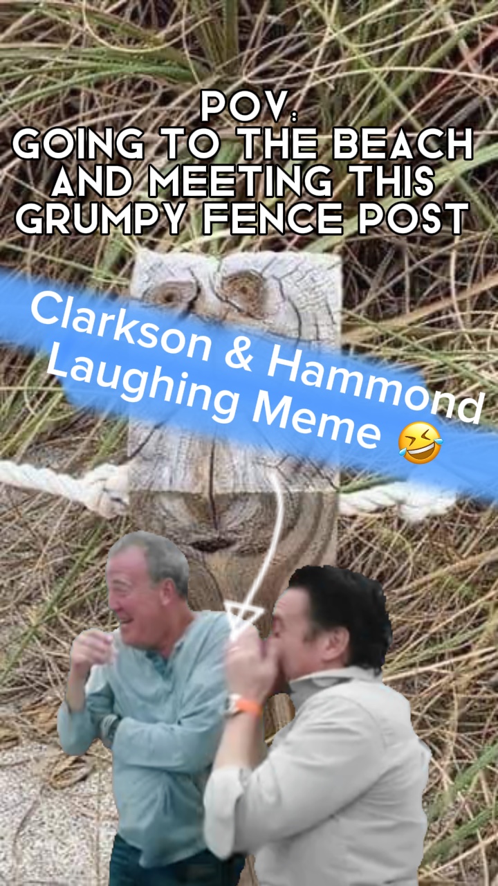 Meme tertawa 🤣