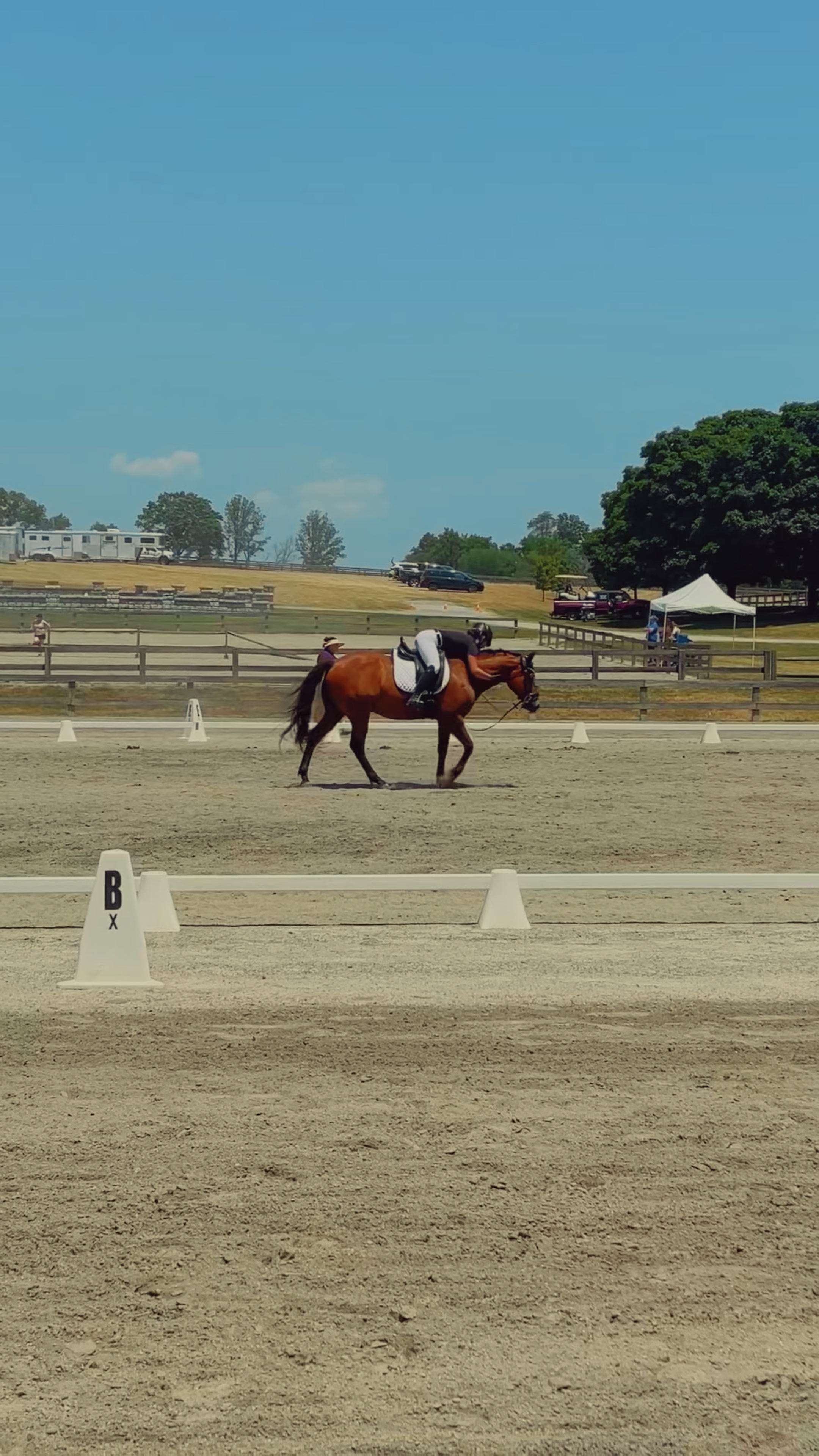 CAVALO PERFEITO