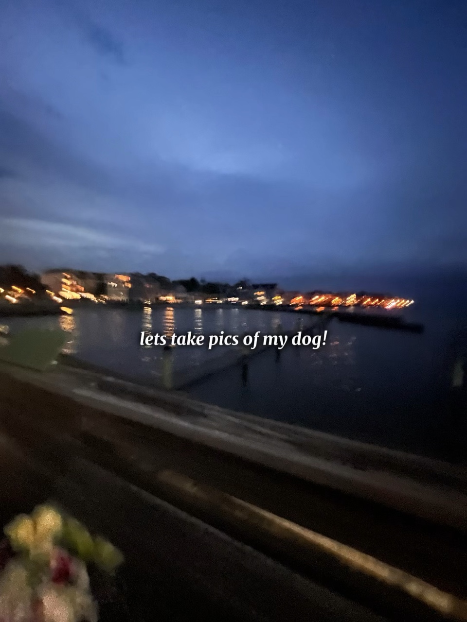 Descanse em paz ursinho🫶