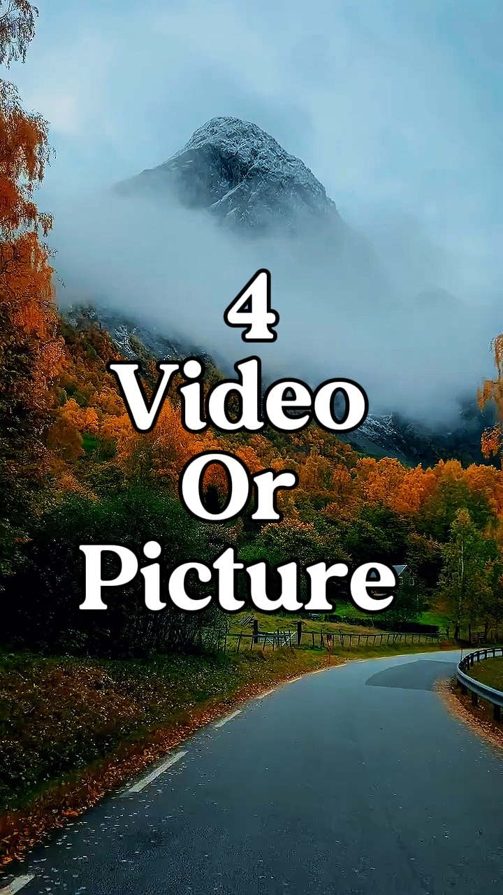 4 video or picture 
